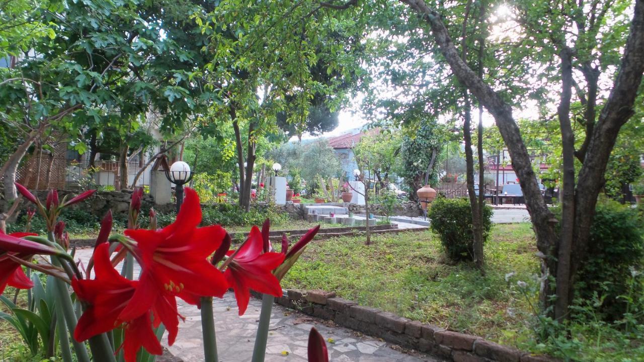 Native Hotel Ovacık Dış mekan fotoğraf